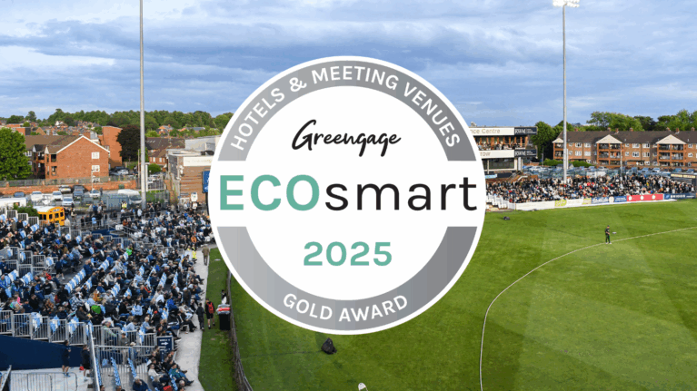 ECOSmart Gold web