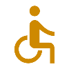 accessible_100dp_CE8900_FILL0_wght400_GRAD0_opsz48